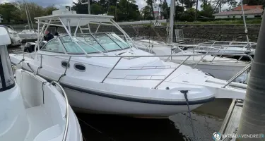 Boston Whaler  295 Conquest