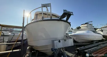 Quicksilver  605 Timonier