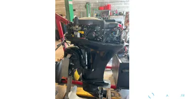 MERCURY F25 ELPT BigFoot