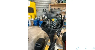 MERCURY F25 ELPT BigFoot