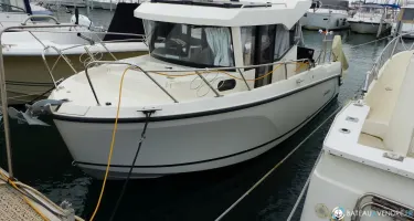 Quicksilver Activ 805 Pro Fish