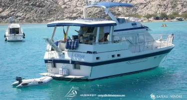 Tarquin Trader 44