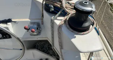 Lagoon  421