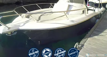 White Shark  228