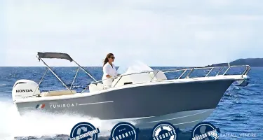 White Shark  228