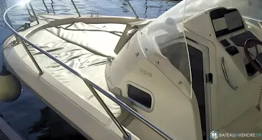 White Shark  228