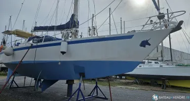 Meta Dalu 47