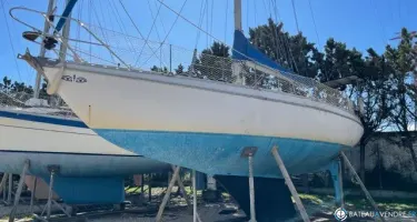 Jeanneau Albatros