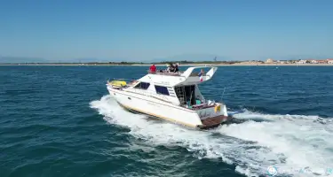 Vitech  59