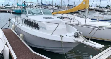 Chris Craft Sea Hawk 266