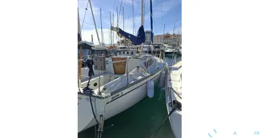 Dufour  31