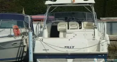 Cranchi Zaffiro 32 Pelican