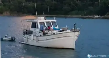 null 200
