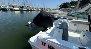 Wellcraft Fisherman 222