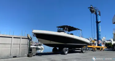 Novurania Chase 31
