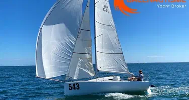 Pogo Structures Pogo 2