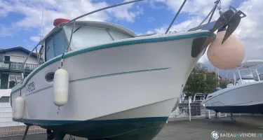 Ocqueteau  715
