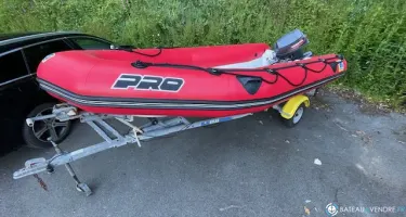 Zodiac Pro II