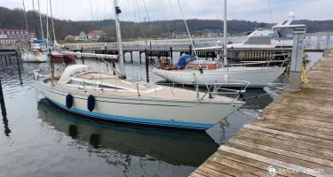 Luffe  37