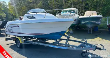Quicksilver  520 Flamingo