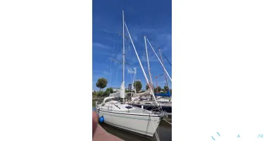 Dehler  36