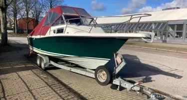 Celebrity  2300