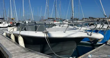 White Shark  245