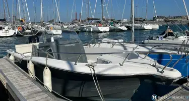White Shark  245