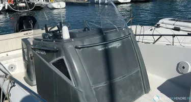 White Shark  245