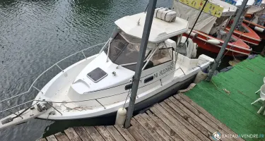 Bayliner Trophy 2502