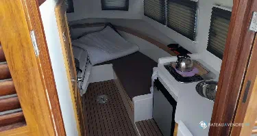 Tiburon  37 Cabinado