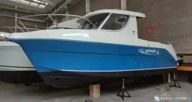 Arvor  250