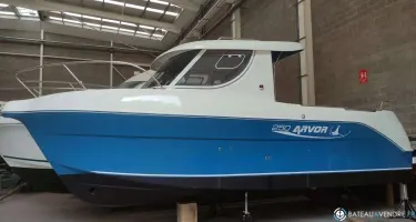 Arvor  250