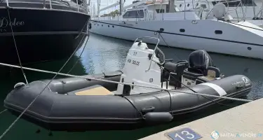 Zodiac Pro Open 550