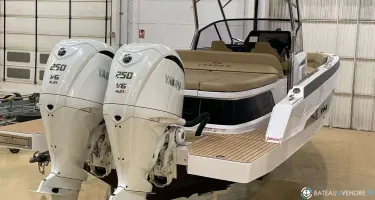 Sterk  31 RC