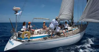 Nautor Swan Swan 47