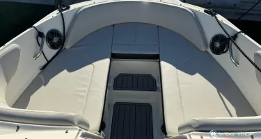 Sea Ray  210 SPX OB