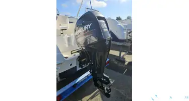 MERCURY 60 Cv 4 TEMPS INJECT
