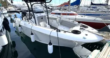 Wellcraft Fisherman 242