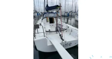 Elan  310