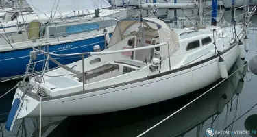 Sparkman & Stevens She 31