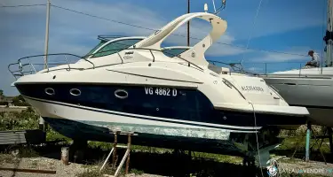 Salpa  38.5