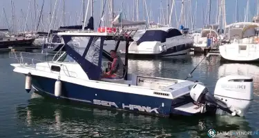 Chris Craft Sea Hawk 215