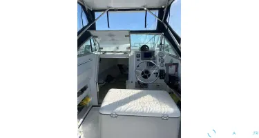 Chris Craft Sea Hawk 215