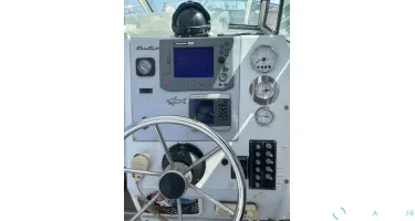 Chris Craft Sea Hawk 215