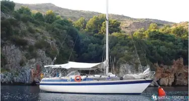 Dehler  37