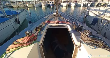 Solaris  36