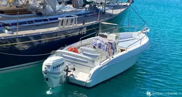 Arkos  587