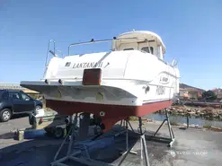 Arvor 215