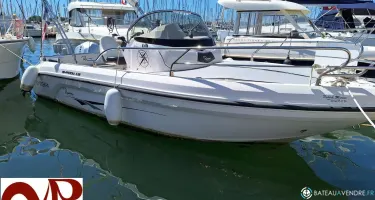 Ranieri Shadow 19